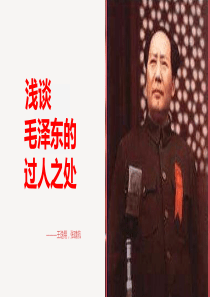 毛概PPT