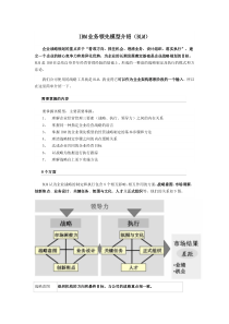 IBM业务领先模型介绍(BLM)