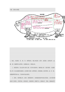 猪肉分割-图