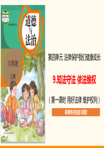 部编版六上道德与法治9知法守法依法维权ppt课件内含3课时