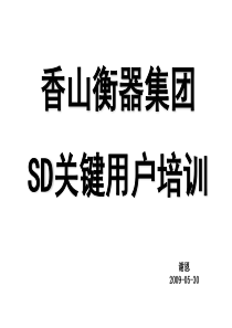 公司集团SAPSD关键用户培训v20