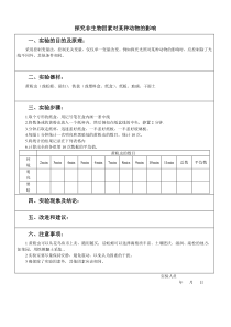 初中生物分组实验报告单