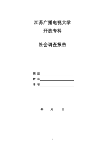 社会调查报告会计专业范文