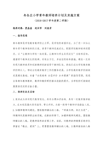 冉各庄小学青年教师培养计划及实施方案