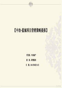 0511中冶蓝城营销策略报告终