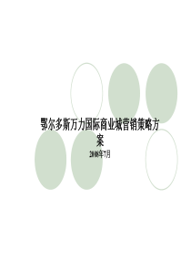 1内蒙古国际商业城营销策略方案