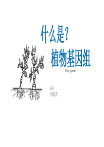 什么是植物基因组