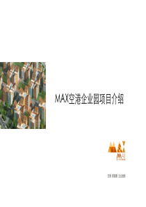 MAX项目营销策划报告1