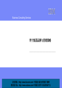 IBM《XX集团品牌与营销策略》