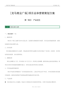 XXXX年2月12日广安市龙马商业广场项目总体营销策划方案