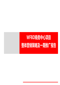 WFBD商务中心项目整体营销策略及一期推广思路报告