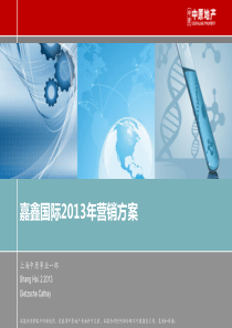 XXXX年房地产策划营销方案_中原_61p_销售推广策略x