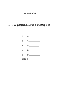 XX集团新建县地产项目营销策划方案