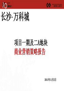 XXXX长沙·万科城项目一期及二A地块商业营销策略报告