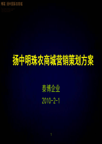 X年2月1日扬中明珠农商城营销策划方案107P