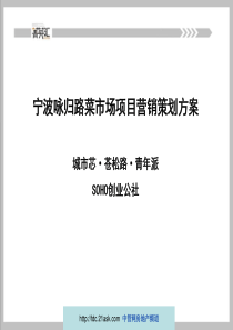 X年宁波咏归路菜市场项目营销策划方案