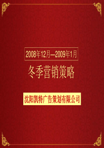 X年12月_X年1月沈阳恒大地产冬季营销策略69P