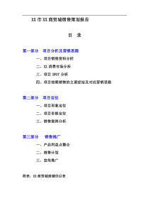 XX市XX商贸城销售策划报告