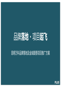 万科金域缇香策略提报营销推广策划