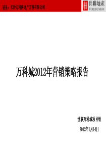 世联长沙万科城XXXX年营销策略报告211P