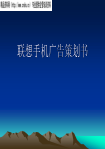 《联想手机市场推广广告营销策划书》(48页)