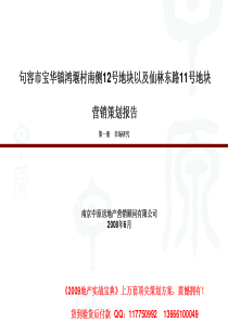 【房地产精品资料】中原-南京仙林别墅项目营销策划报告-301