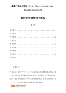 【网站策划书模板】-某网站营销策划书模板