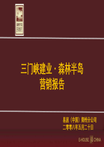 三门峡建业森林半岛X年度营销策略520