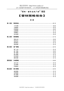 世纪文化广场商业项目营销策略报告（定稿）(DOC80页)