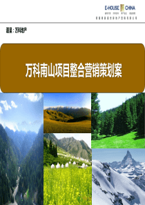 万科南山项目整合营销策划案(427)