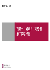 世联_云南景洪市浩宇地产西双十二城项目二期营销推广策略报告_80页