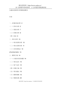 万通双花园项目营销策划报告