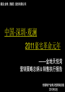 世联深圳金地天悦湾营销策略总纲销售执行报告