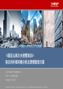 中原广州莲花山高尔夫别墅项目内外部环境分析及营销策划