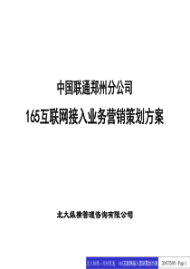 中国联通郑州分公司165互联网接入业务营销策划方案（ppt54页）（北大纵横）