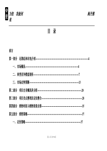 中原地产某项目销售推广策略建议书