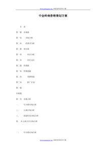 中金岭南营销策划方案doc47