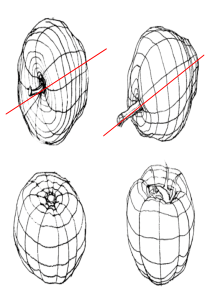 素描陶罐