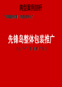 价值千万的地产广告营销策划方案——先锋岛整体包装推广