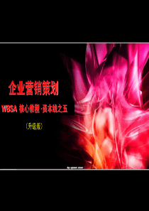 企业营销策划--WBSA核心教程--资本线之五（PPT80页）