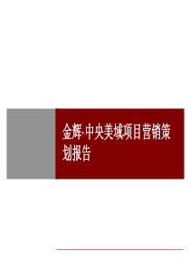 优派克思-合肥金辉·中央美域项目营销策划报告