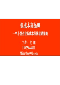 低成本高品牌中小型企业低成本品牌营销策略