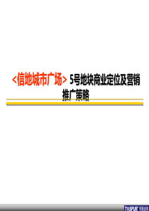 信地城市广场5号地块商业定位及营销推广策略(126)页