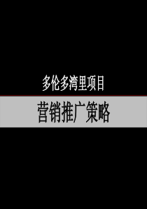 南昌_多伦多湾里项目营销推广策略报告_232PPT