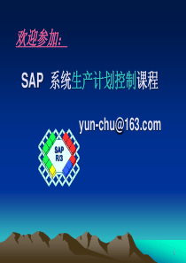 学习sap-pp经典