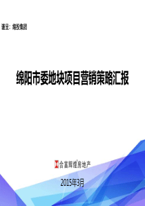 合富辉煌XXXX年四川绵阳市委地块项目营销策略