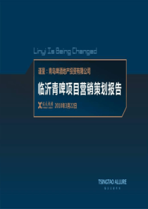 协成机构_山东临沂青啤项目市场定位营销策划报告405页_XXXX年