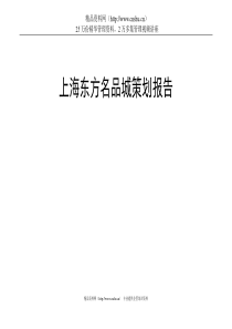 南汇商城营销策划(22doc)