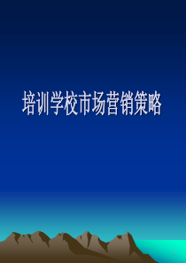 培训学校市场营销策略(55页)