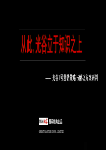 大家武汉光谷1号营销策略与解决方案研判